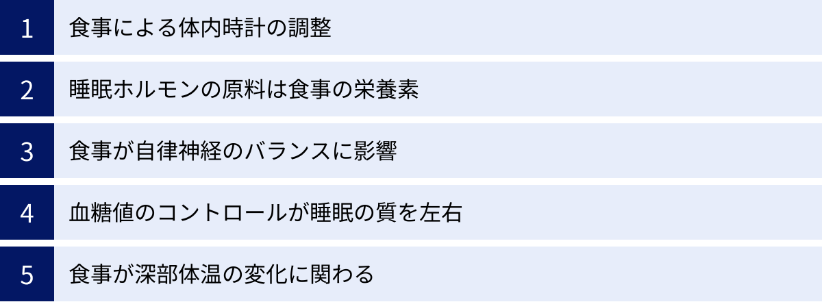 食事による体内時計の調整、睡眠ホルモンの原料は食事の栄養素、食事が自律神経のバランスに影響、血糖値のコントロールが睡眠の質を左右、食事が深部体温の変化に関わる