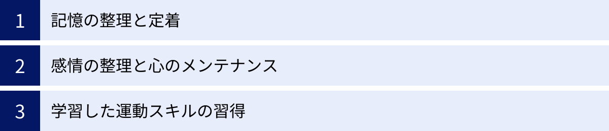 記憶の整理と定着、感情の整理と心のメンテナンス、学習した運動スキルの習得