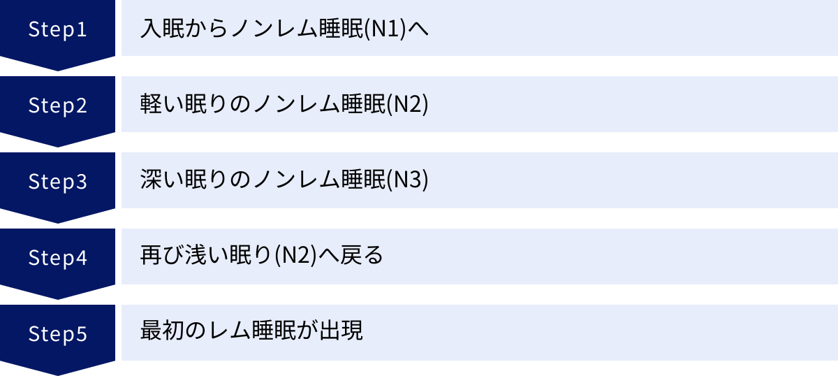 入眠からノンレム睡眠(N1)へ、軽い眠りのノンレム睡眠(N2)、深い眠りのノンレム睡眠(N3)、再び浅い眠り(N2)へ戻る、最初のレム睡眠が出現