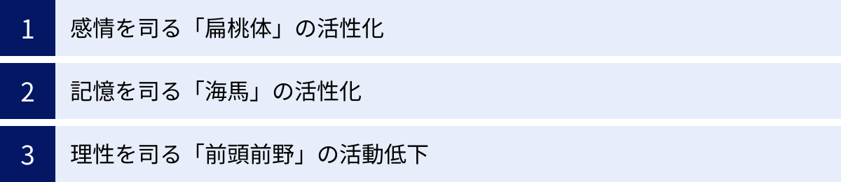 感情を司る「扁桃体」の活性化、記憶を司る「海馬」の活性化、理性を司る「前頭前野」の活動低下