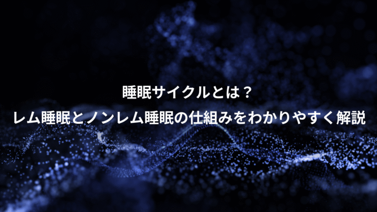 睡眠サイクルとは?、レム睡眠とノンレム睡眠の仕組みをわかりやすく解説