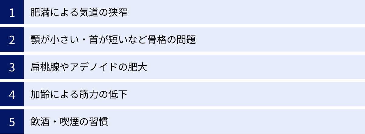 肥満による気道の狭窄、顎が小さい・首が短いなど骨格の問題、扁桃腺やアデノイドの肥大、加齢による筋力の低下、飲酒・喫煙の習慣