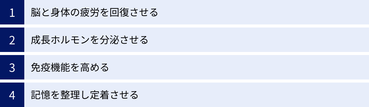 脳と身体の疲労を回復させる、成長ホルモンを分泌させる、免疫機能を高める、記憶を整理し定着させる