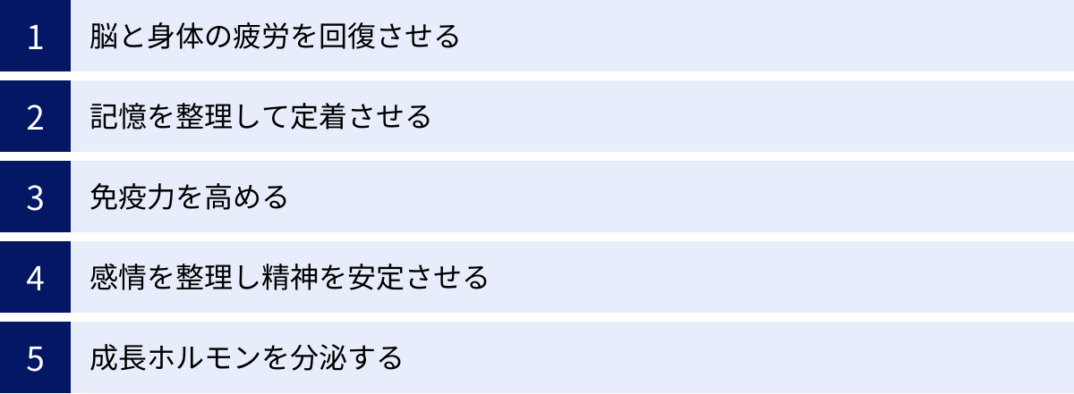 脳と身体の疲労を回復させる、記憶を整理して定着させる、免疫力を高める、感情を整理し精神を安定させる、成長ホルモンを分泌する